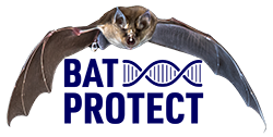 Bat Protect Logo